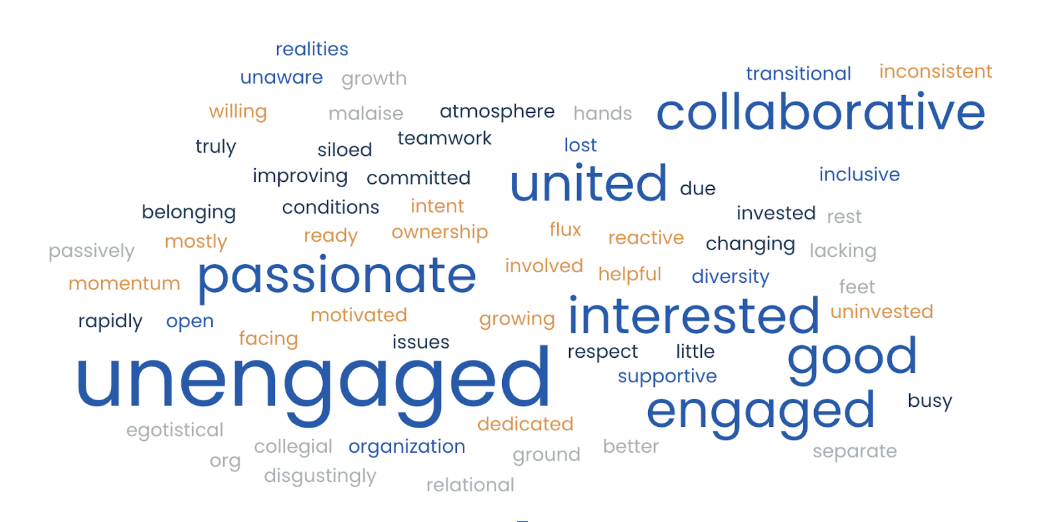 A word cloud.